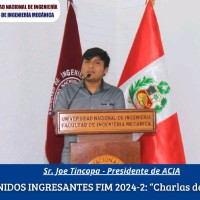 Joe Marlon Tincopa Guevara