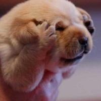 강만수