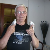 Diego Saez