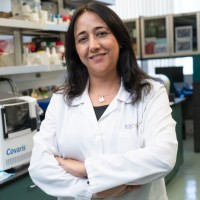 Maryam Abdollahi
