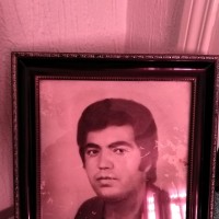 Amir Sahli