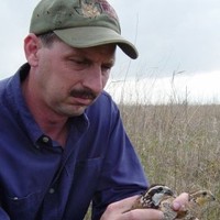 Robert Lehmann
