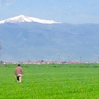 Angelos Peristeropoulos