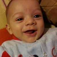 Mostafa Arafat