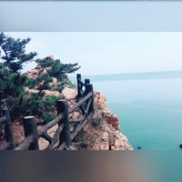 王莹莹