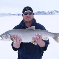 Travis Wilson