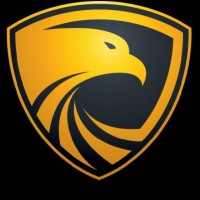 Vero Security Solutions