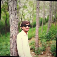Salman Zahid