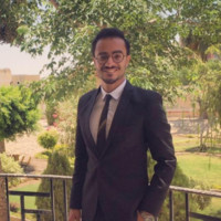 Amr Elgamal