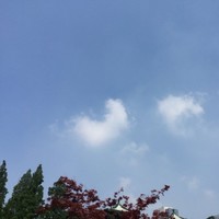 孙思佳