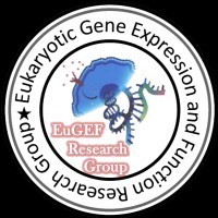 Eugef Research Group