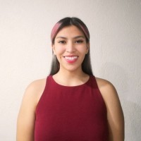 Laura Elena Lastra Montes