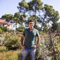 Juan Martínez Barberá