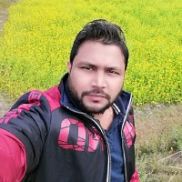 Saiful Rony