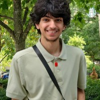 Nour Hammad