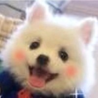姜子文