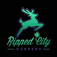 Ripped City