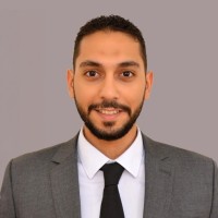 Anas Abd El-Kareem