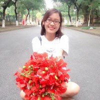 Đỗ Thị Mỹ Linh