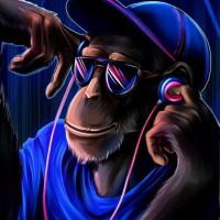 Mr monk