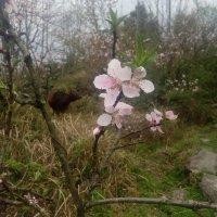 丘建辉