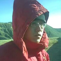 李鑫彪