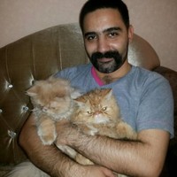 M. Ali Sharifi