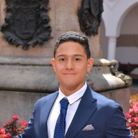 LUIS ANGEL MOGOLLON MOLINA