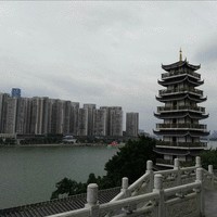 林兰军
