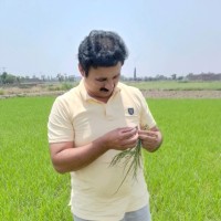 Azeem Riaz