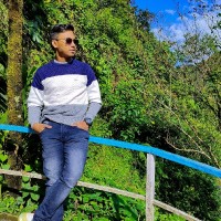 Palash Saha
