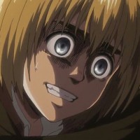 ilovearminarlert arlert