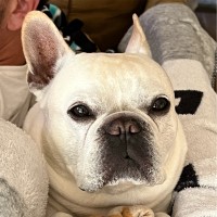 Norbert Arthur