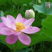 张福刚