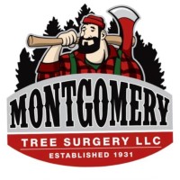 Hudson Montgomery
