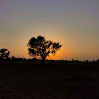 Ankul Sharma