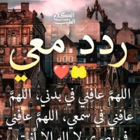ايهاب علي