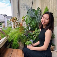My Linh