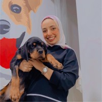 Merna Mashaal