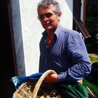 Mauro Guglieri