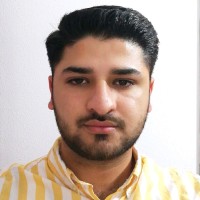 Tasawar Ali Husain