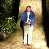 Dawn Bauman