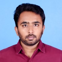 VIGNESH P