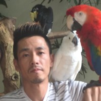 Johnson Cheng