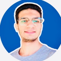 Salaheldin Mohamed