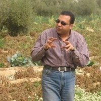 Hossam Fadl