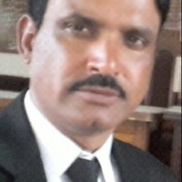 FALK SHAIR
