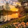 md samad