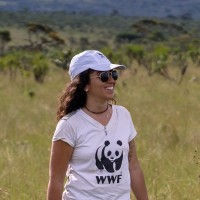 Carolina Marcial