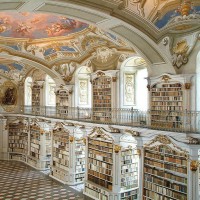 عبدالرحمن الناصر